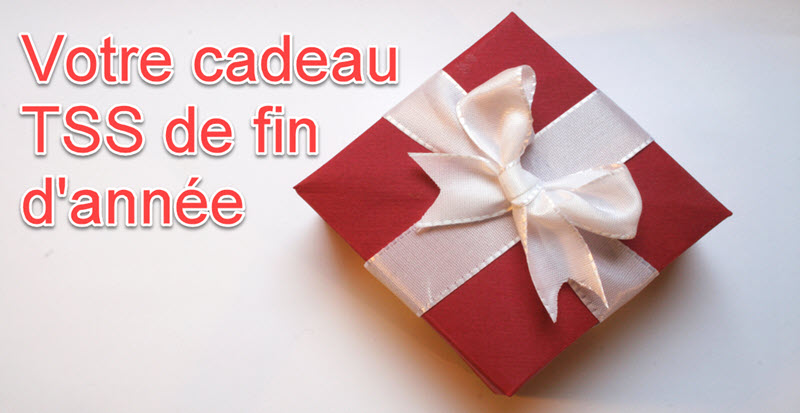 Découvrez votre cadeau TSS de fin d&rsquo;année: une formation gratuite