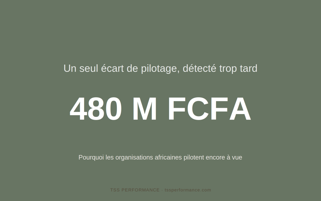 Pourquoi les organisations d&rsquo;Afrique francophone de plus de 50 salariés pilotent encore à vue : diagnostic structurel